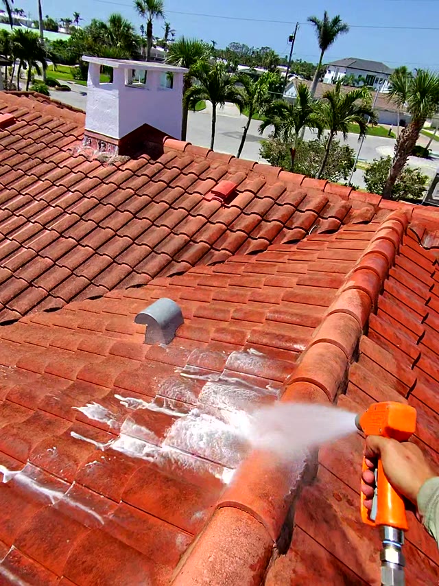 Why Your Florida Roof Has Black Streaks (and How to Fix It)